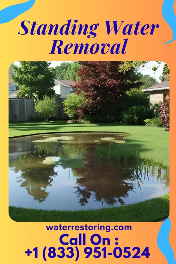 Standing Water Removal in New Market, IA